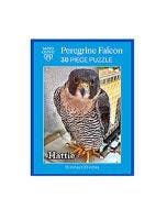 Mayo Clinic Peregrine Falcon Program 30 Piece Puzzle small