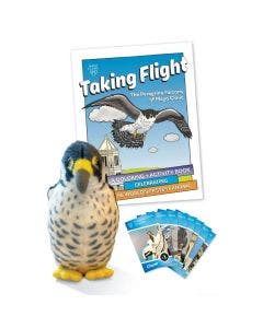 Taking Flight Experience  - Peregrine Falcon Set