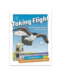 Taking Flight: The Peregrine Falcons of Mayo Clinic small image