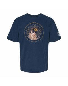 Mayo Clinic Peregrine Falcon Program Soft Touch Youth T-Shirt sm image