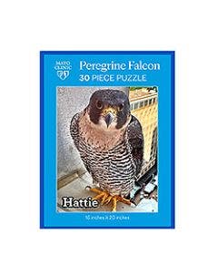 Mayo Clinic Peregrine Falcon Program 30 Piece Puzzle small
